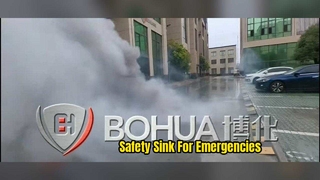 Celeberating New year